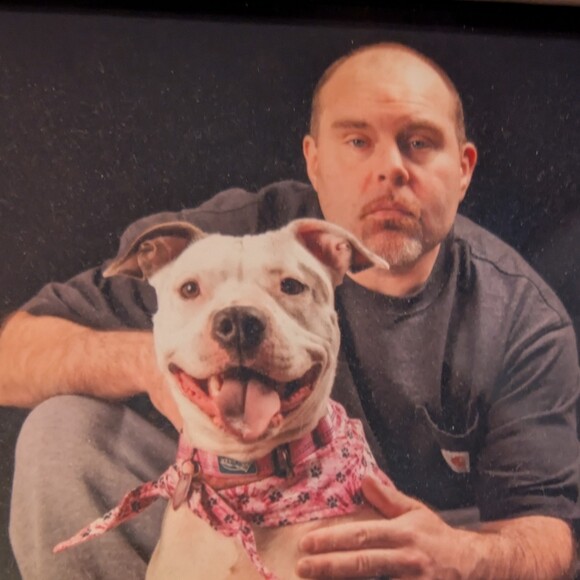 roguepittbull